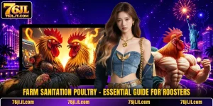 Farm Sanitation Poultry - Essential Guide For Roosters