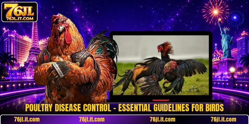 Poultry Disease Control - Essential Guidelines For Birds