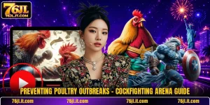 Preventing Poultry Outbreaks - Cockfighting Arena Guide